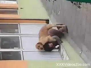 Sexy slut filmed in public when a dog fucks her in the pussy