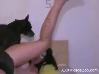 Fine cam slut tries dog dick down the muff harder than ever