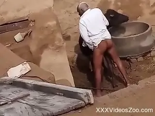 Mature man filmed in public when he tries to fuck a cow