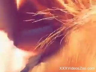 Naked man is all set to smash this horse's pussy while filming himself