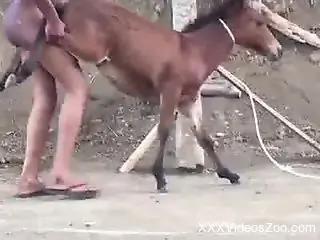 Black dude ass fucks small horse in restless amateur scenes