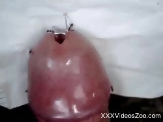 Nude man inserts ants in his cock during a cam jerk off