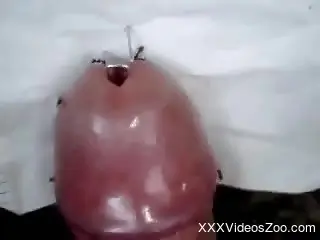 Nude man inserts ants in his cock during a cam jerk off