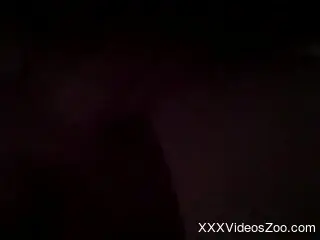Amateur gets hammered by a dog and soaked in fresh cum