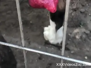 Horny male craves the dog dick for the ultimate perversions