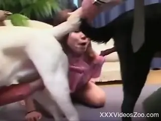 Asian slut sucks pair of dog dicks in webcam scenes