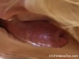 Blonde MILF gets busy sucking the dog dick like a pro