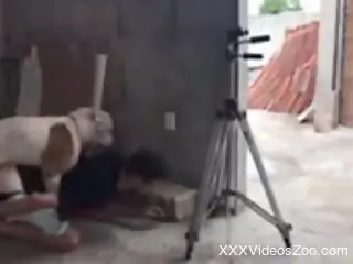 Clothed dude tries anal sex with the dog in unique kinks