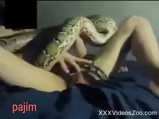 Insolent male masturbates and jerks off in rough zoophilia