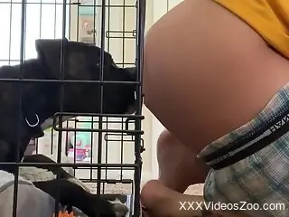 Nude woman allows curious dog access to lick both her wet holes
