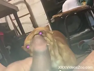 Aroused man wants to stick his big dick in the dog's ass