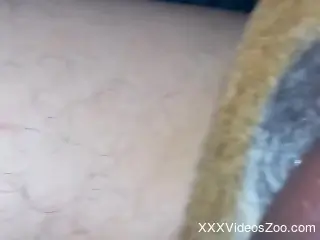 Naked man wants to fuck the furry animal in brutal closeup scenes