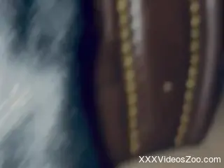 Sexy beauty works the dog's dick like a pro in hot manners