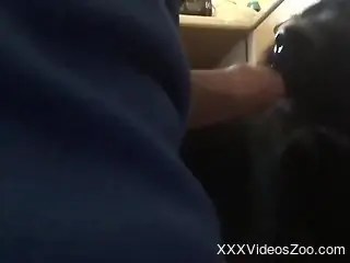 Man deep fucks dog in the pussy and comes on its fur