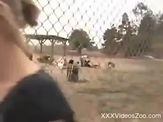 Alluring woman shares intimate XXX zoophilia in outdoor scenes
