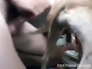 Naked man fucks his own dog in the ass and tapes himself