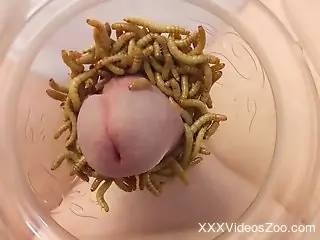 Man lets crawling worms stimulate his cock in energized solo