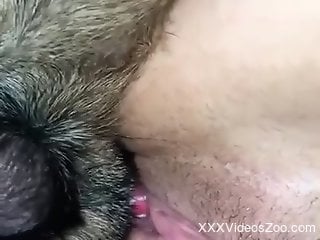 Furry dog fucks naked woman in ways that make her come big time