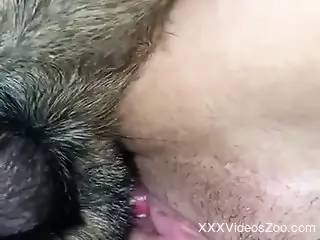 Furry dog fucks naked woman in ways that make her come big time
