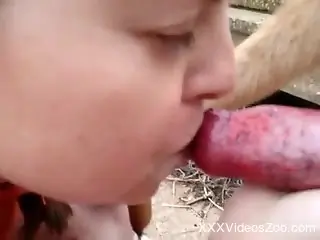 Hot amateur puts her mouth to work in outdoor zoophilia kinks