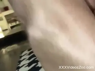 Steamy woman enjoys heavy dog dick in both holes