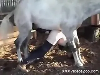 Horse fucks naked man in the ass loud and rough