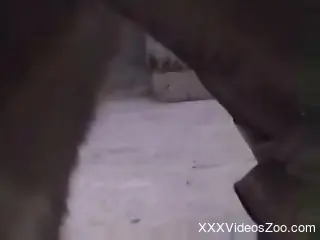 Rough bestiality is taking place outdoors