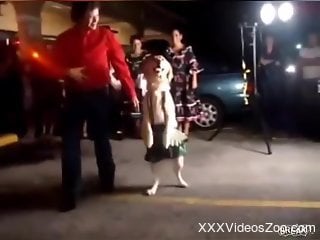 Doggie is making filthy zoophile reach orgasms