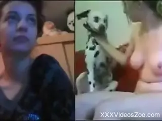 Cam slut shares nudity and dog zoophilia for her girlfriend