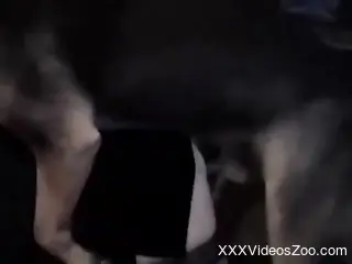 Home alone blonde woman gets dog fucked in serious manners