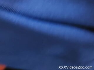 Aroused man wants to try sex with his dog after a nice oral
