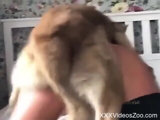 Smashing babe gets her pussy slammed well by the dog