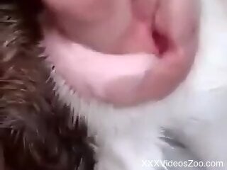 Amateur male finger fucks the furry dog and fulfills his desires