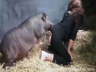 Sexy female feels the swine's big dick in both her holes