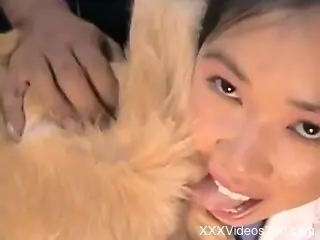 Asian babe tries the dog dick in each of her greedy holes