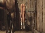 XXX bestiality zoo porn