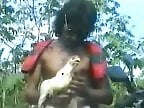 PornBbestiality