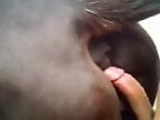 Zoo porn and zoo sex video