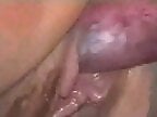 ZooPornHub