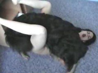 Real-Zoo-Sex
