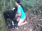 Animal porn and bestiality