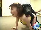 Bestiality Porn