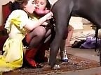 Free bestiality and zoophilia porn