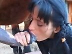 ZooPornHub