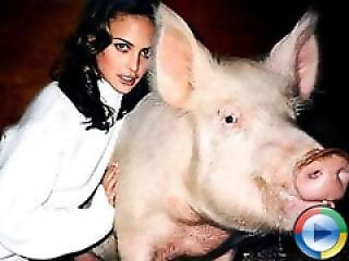 Animal porn videos and ZOO PORN