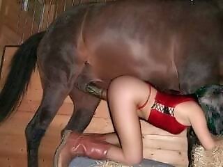 XXX bestiality zoo porn