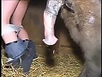 XXX Bestiality