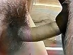 Beast Pics
