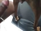 Zoo Zoo Sex Porn