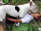 Free bestiality and zoophilia porn